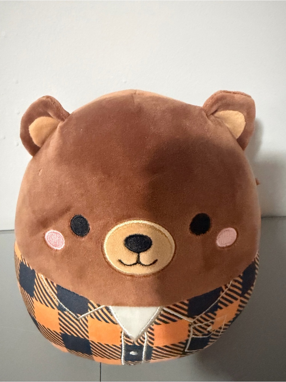 Omar the Grizzly Bear Squishmallow Official Fall Harvest Squad Collection 7.5” - Picture 7 of 10